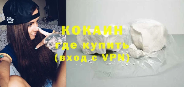 твердый Алексин