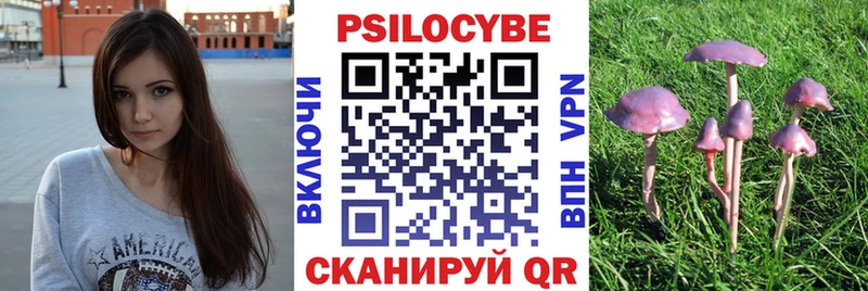 Псилоцибиновые грибы Magic Shrooms  где купить   Лесной 